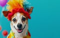 Dog in a clown cap and cheerful outfi