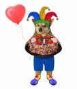 Dog clown with chocolate cake Royalty Free Stock Photo