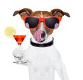 Dog with cocktail Royalty Free Stock Photo