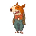 A dog on a coffee break, vector illustration. Humanized bull terrier. Positive anthropomorphic dog