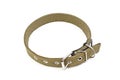 Dog collar Royalty Free Stock Photo