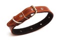 Dog collar