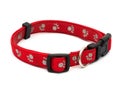 Dog Collar Royalty Free Stock Photo
