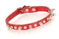 Dog collar Royalty Free Stock Photo