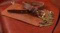 Dog collar made of real belt leather Royalty Free Stock Photo