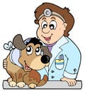 Dog with collar at veterinarian