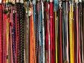 Dog collars Royalty Free Stock Photo