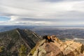 Dog on a Colorado summit Royalty Free Stock Photo