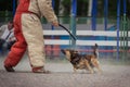 Dog competition, police dog training, dogs sport