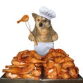 Dog cooks grilled chicken legs Royalty Free Stock Photo