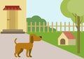 Dog courtyard doghouse flat design cartoon vector animals pets