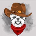 A dog in a cowboy hat. Yorkshire Terrier. Vector illustration