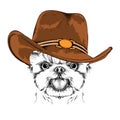 A dog in a cowboy hat. Yorkshire Terrier. Vector illustration