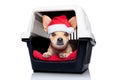 Dog crate box Royalty Free Stock Photo