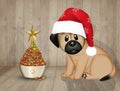 Dog croquettes in the shape of a Christmas tree Royalty Free Stock Photo