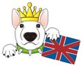 Dog in crown with a flag Royalty Free Stock Photo