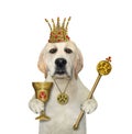 Dog in crown with goblet and scepter