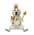 Dog in crown with goblet and scepter 2