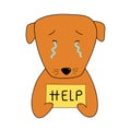 Dog crying. Hand holding help sign. Donation concept.