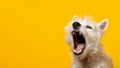 Dog cute yawning banner. Generate Ai