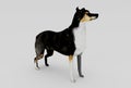 dog 3d rendering on white background minimal 3d illustration Royalty Free Stock Photo