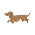 Dog Dachshund, vector illustration in cartoon style Royalty Free Stock Photo
