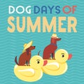 Dog days of summer comic cartoon vector poster Royalty Free Stock Photo