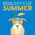 Dog days of summer Royalty Free Stock Photo