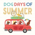 Dog days of summer comic cartoon vector poster