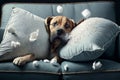 Dog that destroys the sofa cushions with a surprised face, Illustration. Generative AI