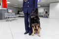 A dog for detecting drugs at the airport standing near the customs guard. Horizontal view Royalty Free Stock Photo