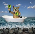 Dog diver in the bath on the sea 2