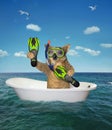 Dog diver in the bath on the sea