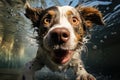 Dog diving underwater. AI Generative Royalty Free Stock Photo