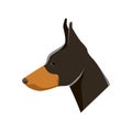 Dog - doberman. Vector Illustration