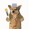 Dog doc with medical instruments Royalty Free Stock Photo