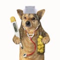 Dog doc with medical instruments 2 Royalty Free Stock Photo