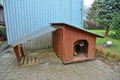 Dog and doghouse