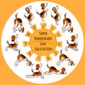 Dog doing yoga position of Surya Namaskara Royalty Free Stock Photo