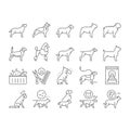 Dog Domestic Animal Collection Icons Set Vector . Royalty Free Stock Photo
