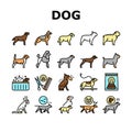 Dog Domestic Animal Collection Icons Set Vector Royalty Free Stock Photo