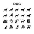 Dog Domestic Animal Collection Icons Set Vector Royalty Free Stock Photo