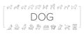 Dog Domestic Animal Collection Icons Set Vector . Royalty Free Stock Photo
