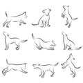 Dog drawing set