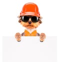 Dog dressed as builder with banner