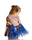 Dog dressed as a cheerleader