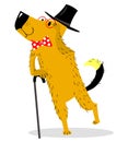 A dog dressed as a gentleman ÃÂ pince-nez and walking stick. Vintage suit and accessories. Royalty Free Stock Photo