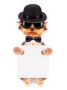 Dog dressed as mafia gangster with banner Royalty Free Stock Photo