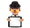 Dog dressed as mafia gangster with tablet pc Royalty Free Stock Photo