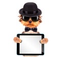 Dog dressed as mafia gangster with tablet pc Royalty Free Stock Photo